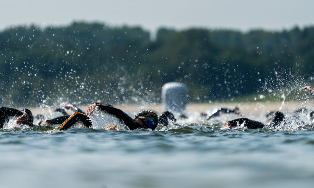 triathletes swimming in open water