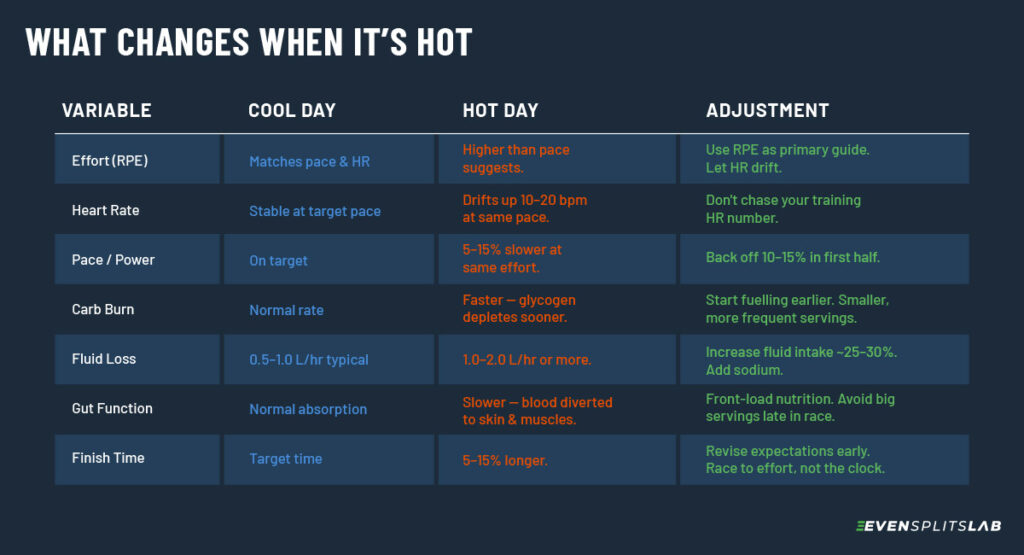 Table comparing cool day vs hot day race conditions across effort, heart rate, pace, carb burn, fluid loss, gut function, and finish time, with adjustments for hot weather triathlon nutrition