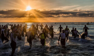 triathletes entering the water in a triathlon